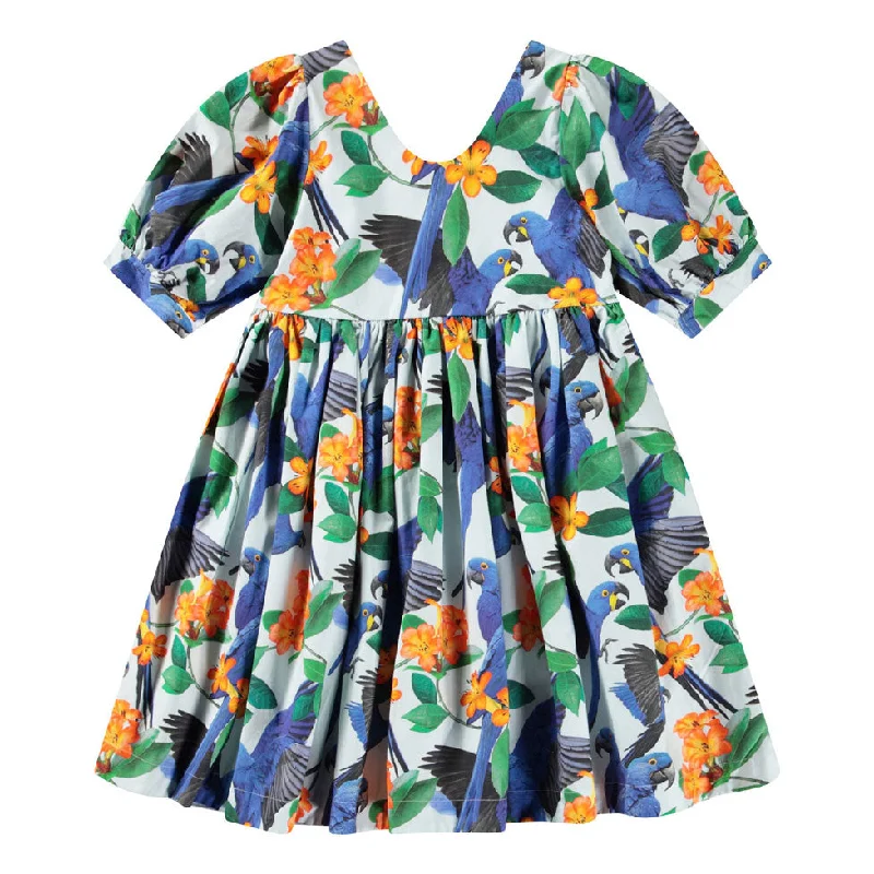 - Hamster silent running wheel to prevent chewingMolo Macaws Blue Camilo Dress