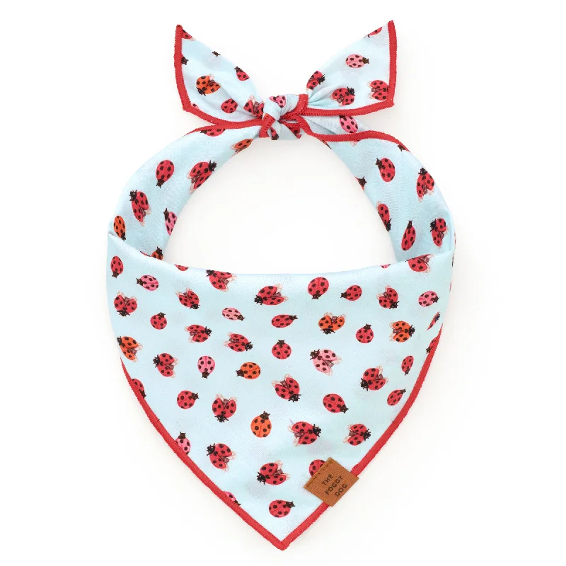 - Parrot climbing and standing wooden frameLove Bug Dog Bandana
