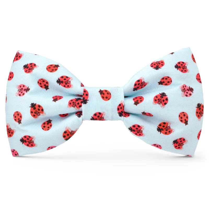 - Cat nail clippers with LED lightsLove Bug Dog Bow Tie