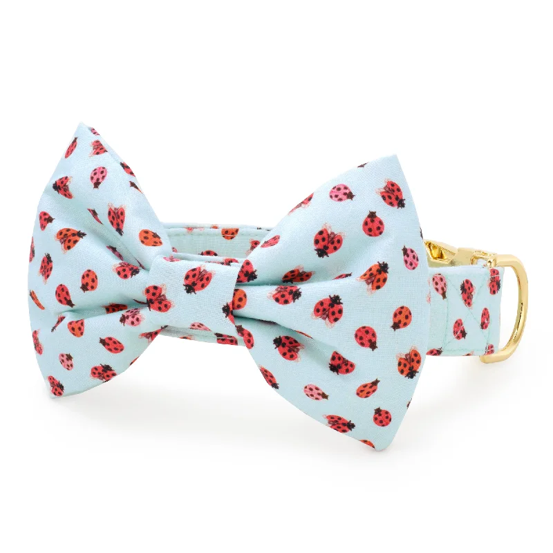  -Explosion-proof leash FOR LARGE dogsLove Bug Bow Tie Collar