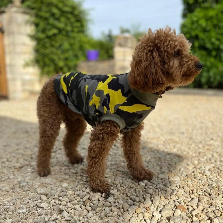 - Pet tear stain cleaning wipesSummer T-Shirts for Small Breeds / Terriers & Spaniels